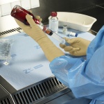 Berner Neoprene Gloves Cytotoxic Gloves