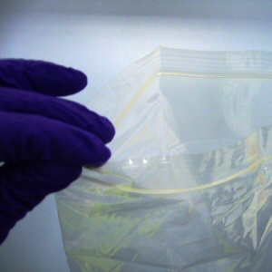 Resealable Sterile Polybag (A4 size)